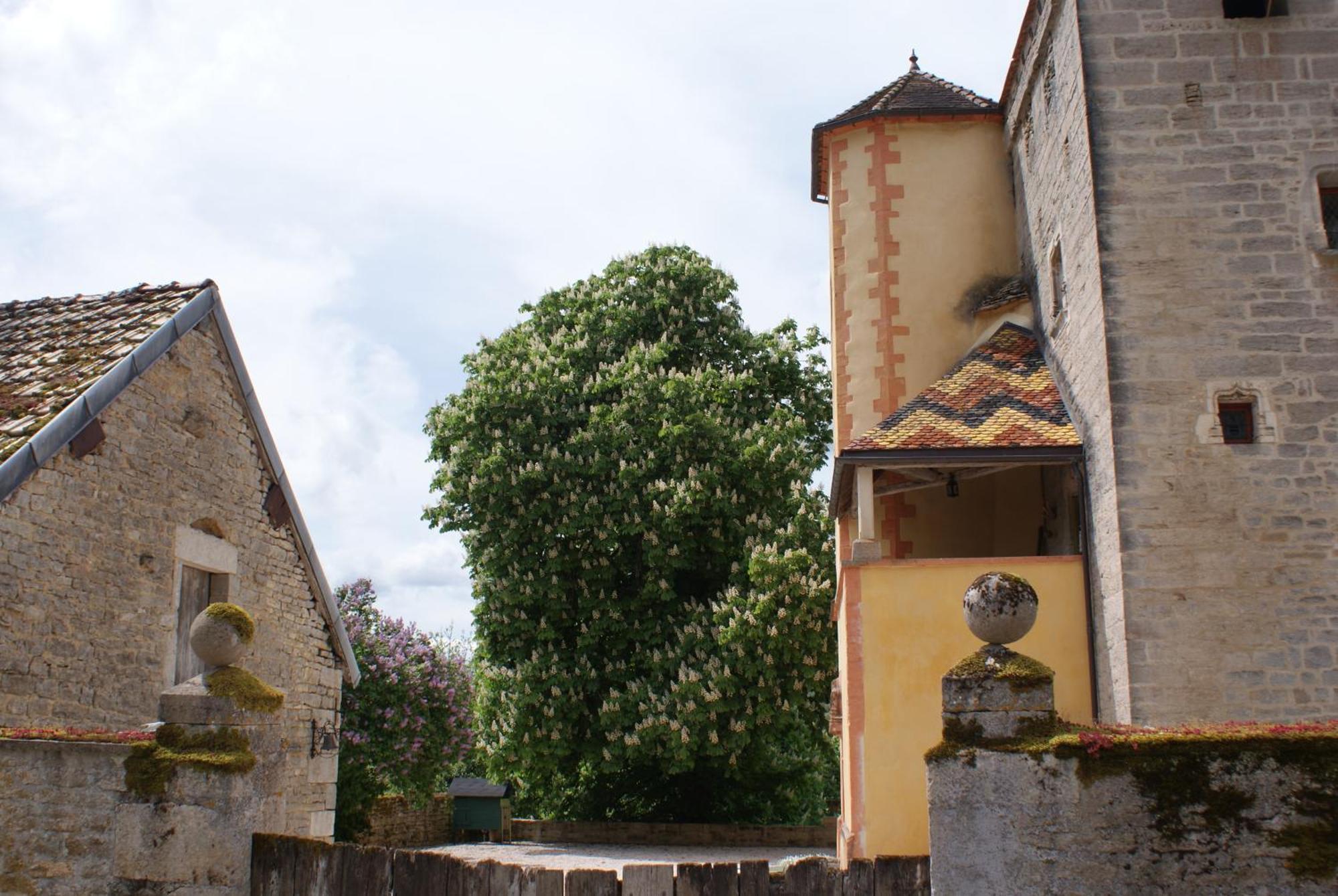Chateau De Champrenault, Voyagez Dans Le Temps Eksteriør bilde